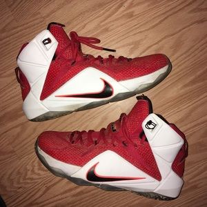 Lebron 12 heart of the lion
